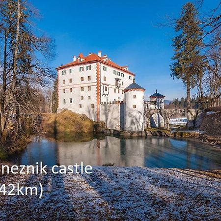 Tiny House With A Big Heart Villa Postojna Kültér fotó